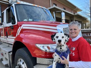 Nurses in RVs