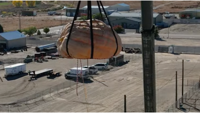 giant pumpkin