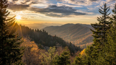 Tennessee Smoky Mountains