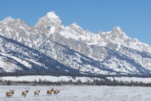 winter camping; national park; Grand Tetons