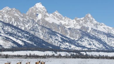 winter camping; national park; Grand Tetons