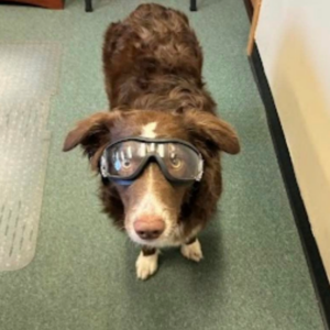 RICKY GOGGLES 1024x1024 1