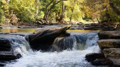 Surface Level View of a Small Waterfall on Big Creek in Chattahoochee River National Recreation Area in Autumn