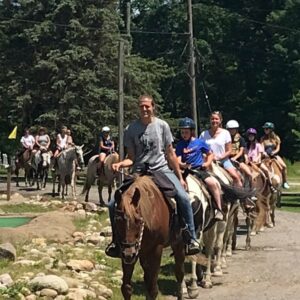 canton east sparta koa horses