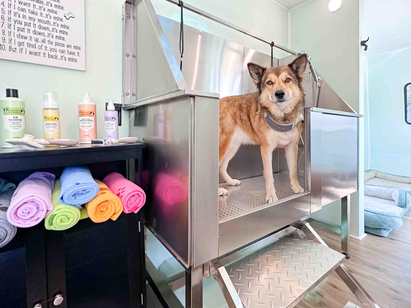 DIYRain2shine complete of WWdogbathMaple