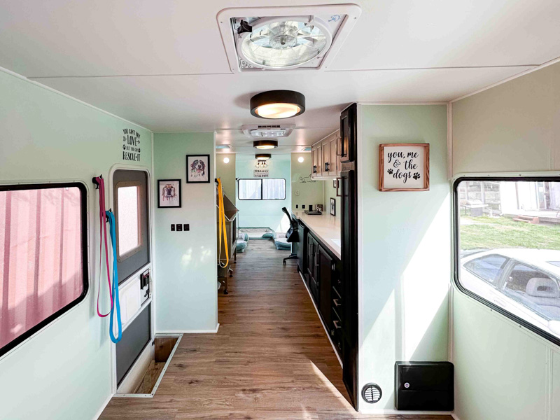 DIYRain2shine complete of WWdogfromthefront