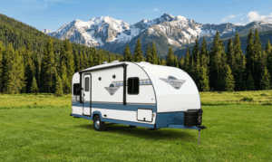 Vintage Cruiser's Retro Charm Sparks 36% Growth - image 2