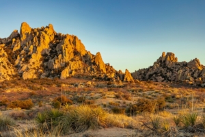 Best Places To Camp for Free, According to The Dyrt & Vanlife Trader 2 AdobeStock 475444661