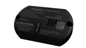 WP CP1B