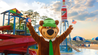 Jellystone Park Yogi Bear