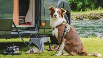 A dog sitting outside camper van that is parked next to a river
