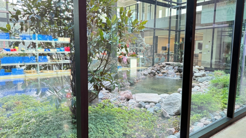 ATC Pond