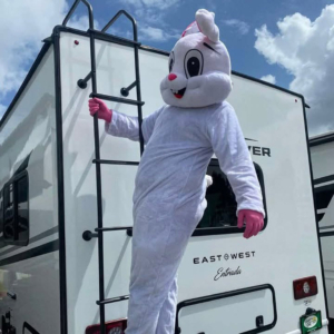Bunny costume