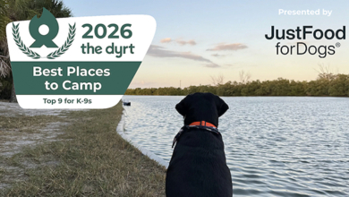 the dyrt camping with dogs