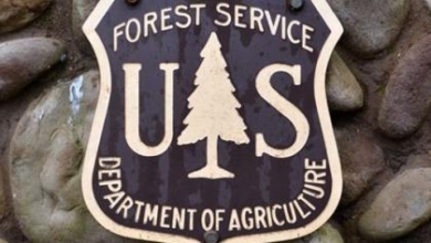 RVIA, ORR Submit Comments on Forest Service Travel Management Rulemaking 5 US Forest Service