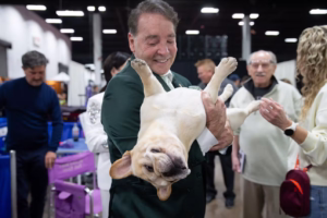 show info dog1